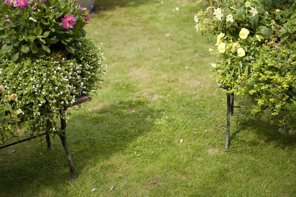 Forest View B&B Landford Exterior foto